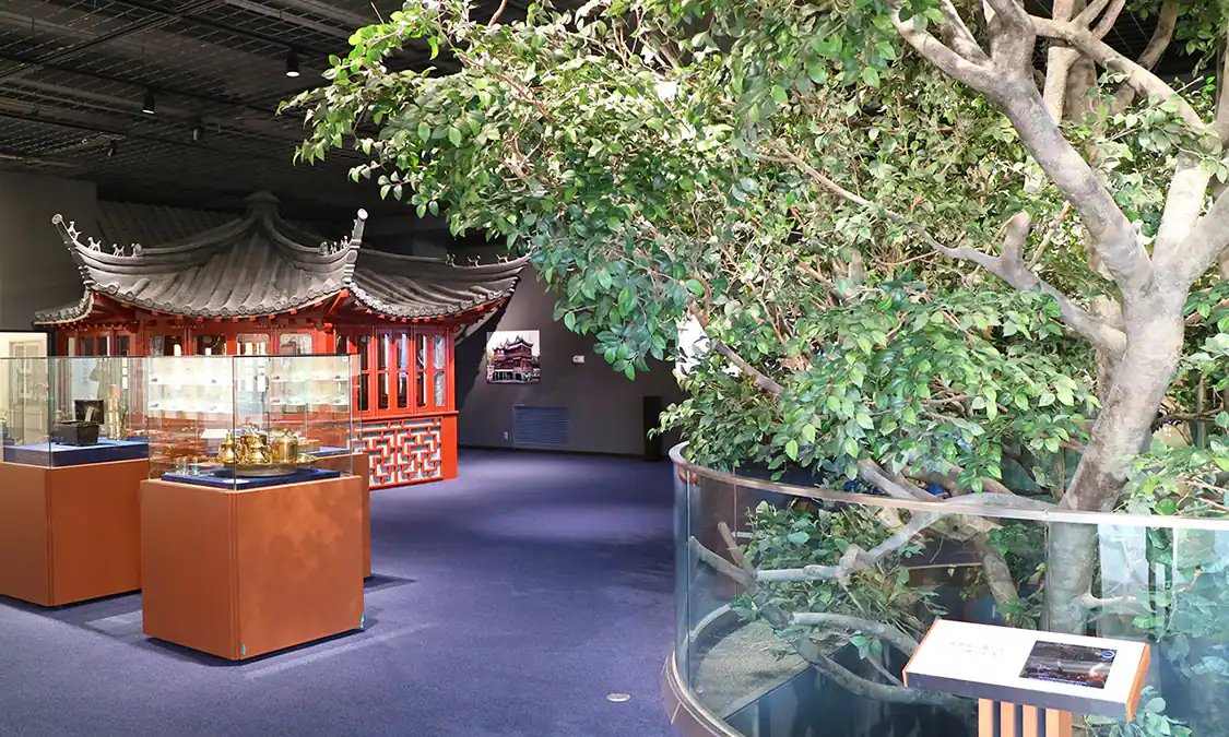 🏛️ 후지노쿠니 지구환경사 뮤지엄(ふじのくにちきゅうかんきょうしミュージアム) 이미지 6